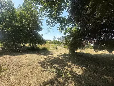 Terrain, 1 254 m²