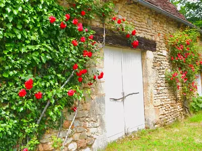 Maison, 196 m²