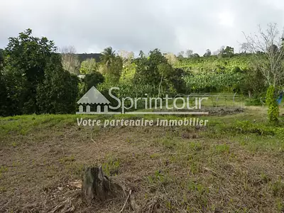 Terrain, 1 200 m²
