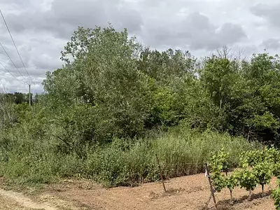 Terrain, 3 800 m²