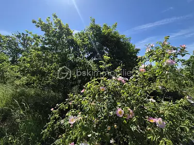 Terrain, 26 139 m²