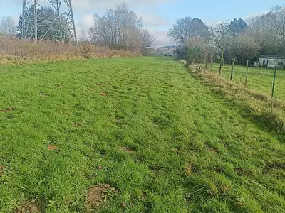 Terrain, 6 205 m²