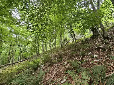 Terrain, 16 800 m²