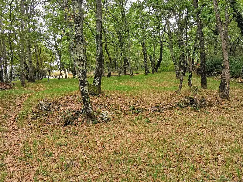 Terrain, 587 m²