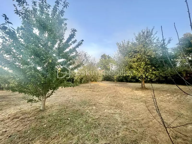 Terrain, 600 m²