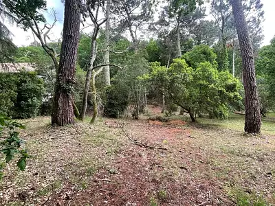 Terrain, 1 050 m²