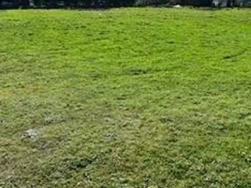 Terrain, 1 424 m²