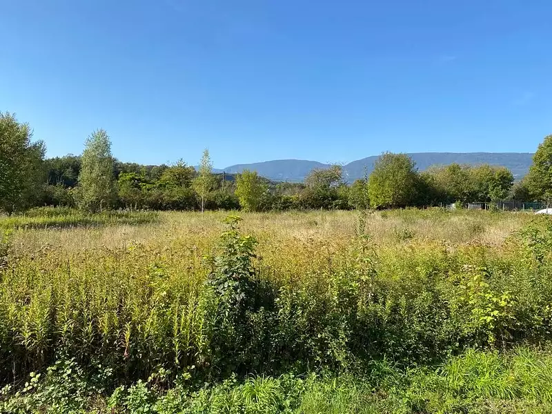 Terrain, 3 846 m²