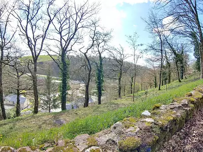 Terrain, 507 m²