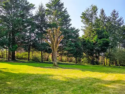 Terrain, 2 650 m²