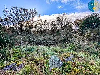 Terrain, 1 716 m²