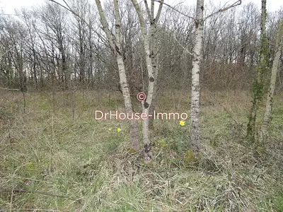 Terrain, 4 400 m²