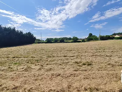 Terrain, 5 195 m²