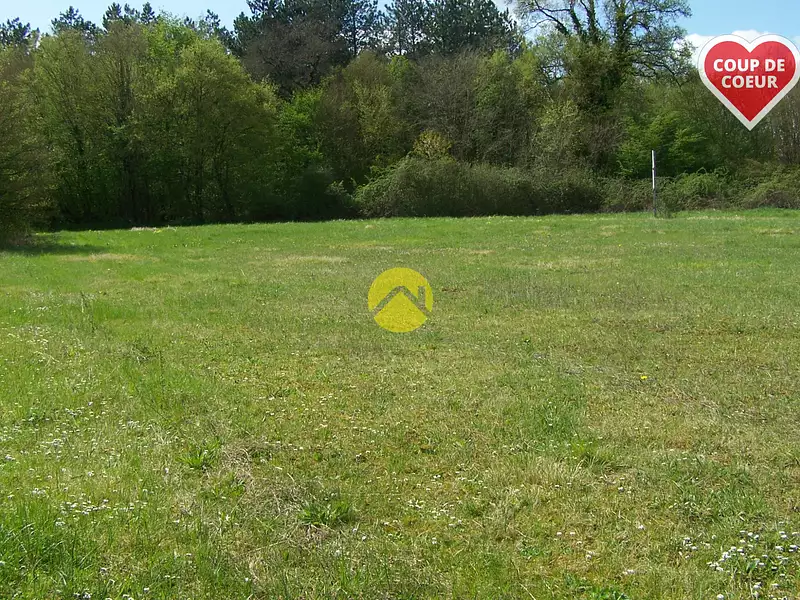 Terrain, 4 295 m²