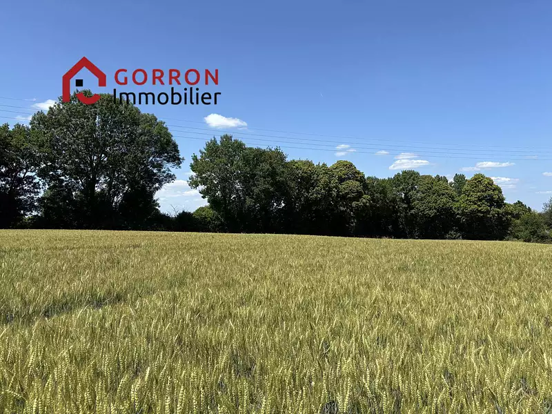 Maison, 78 m²