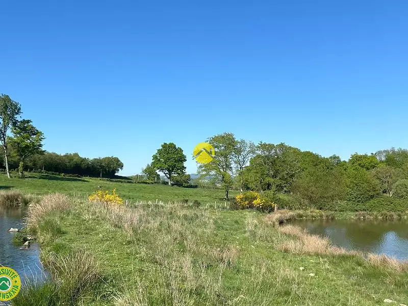 Terrain