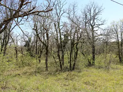 Terrain, 2 508 m²