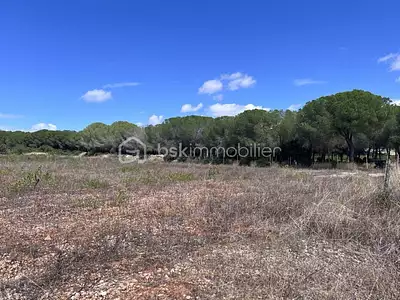 Terrain, 161 250 m²