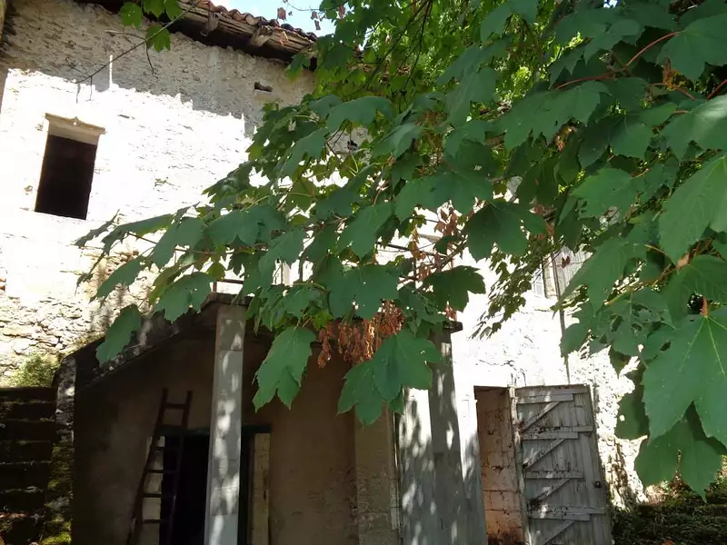 Maison, 230 m²