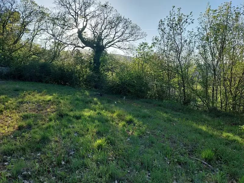 Terrain, 2 354 m²