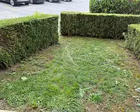 Appartement, 59,46 m²