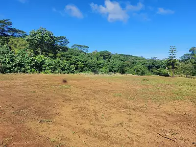 Terrain, 1 835 m²
