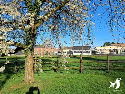 Terrain, 850 m²