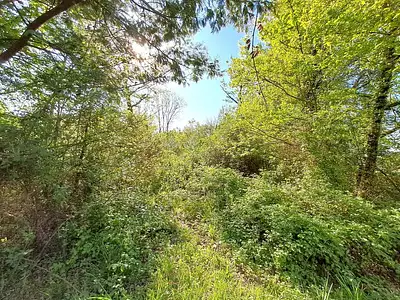Terrain, 7 614 m²