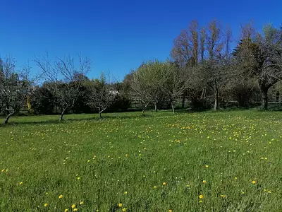 Terrain, 1 174 m²