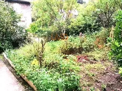 Maison, 55 m²
