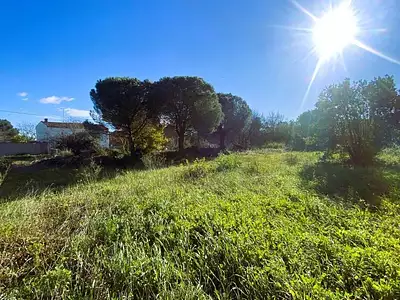 Terrain