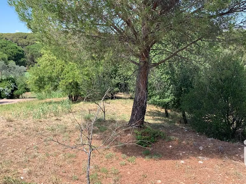 Terrain, 504 m²