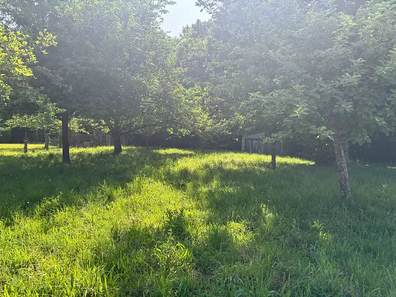 Terrain, 2 355 m²