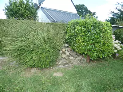 Maison, 77 m²