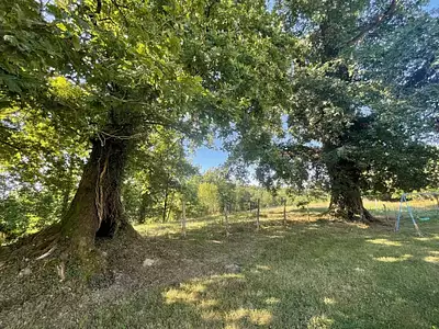 Maison, 270 m²