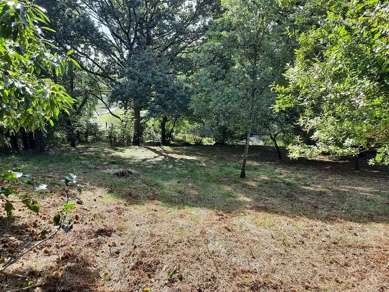 Terrain, 1 888 m²