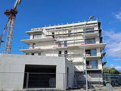 L'ANCOLIE