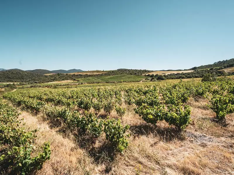 Terrain, 148 075 m²