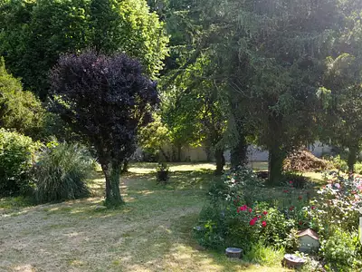 Maison, 300 m²