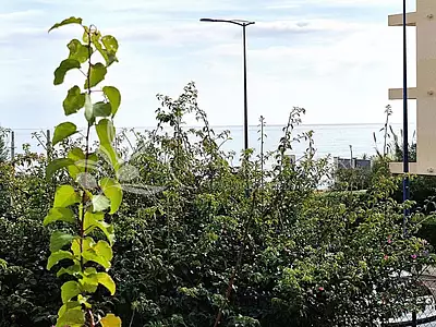 Appartement, 54,4 m²