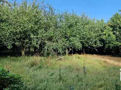 Maison, 145 m²