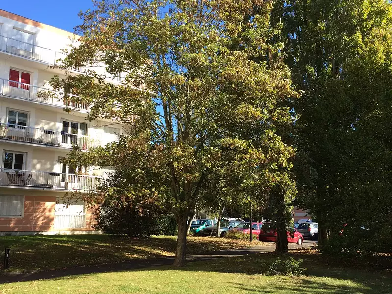 Appartement, 80,28 m²