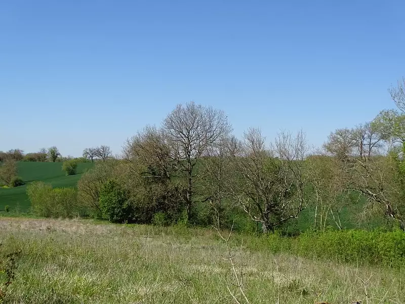 Terrain, 2 337 m²