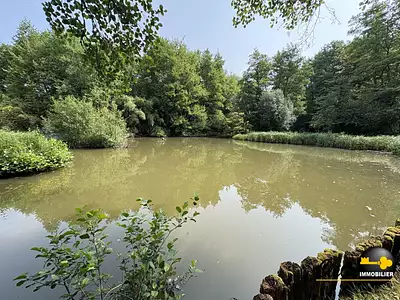 Maison, 35 m²