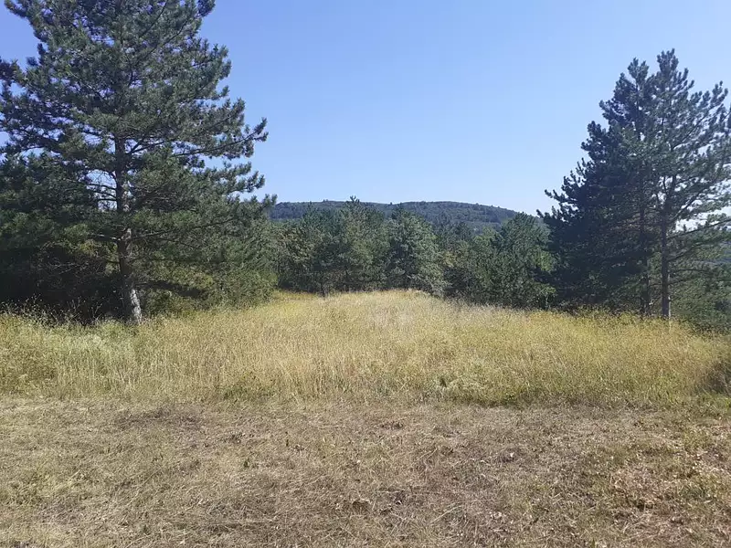 Terrain, 2 974 m²