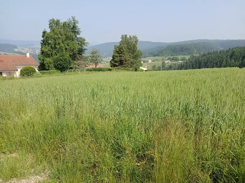 Terrain, 950 m²