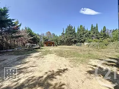Terrain