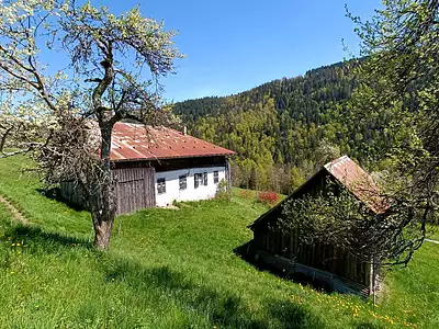 Maison, 270 m²