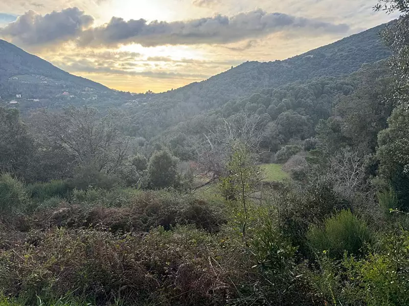 Terrain, 1 200 m²