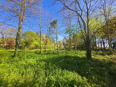 Terrain, 2 887 m²